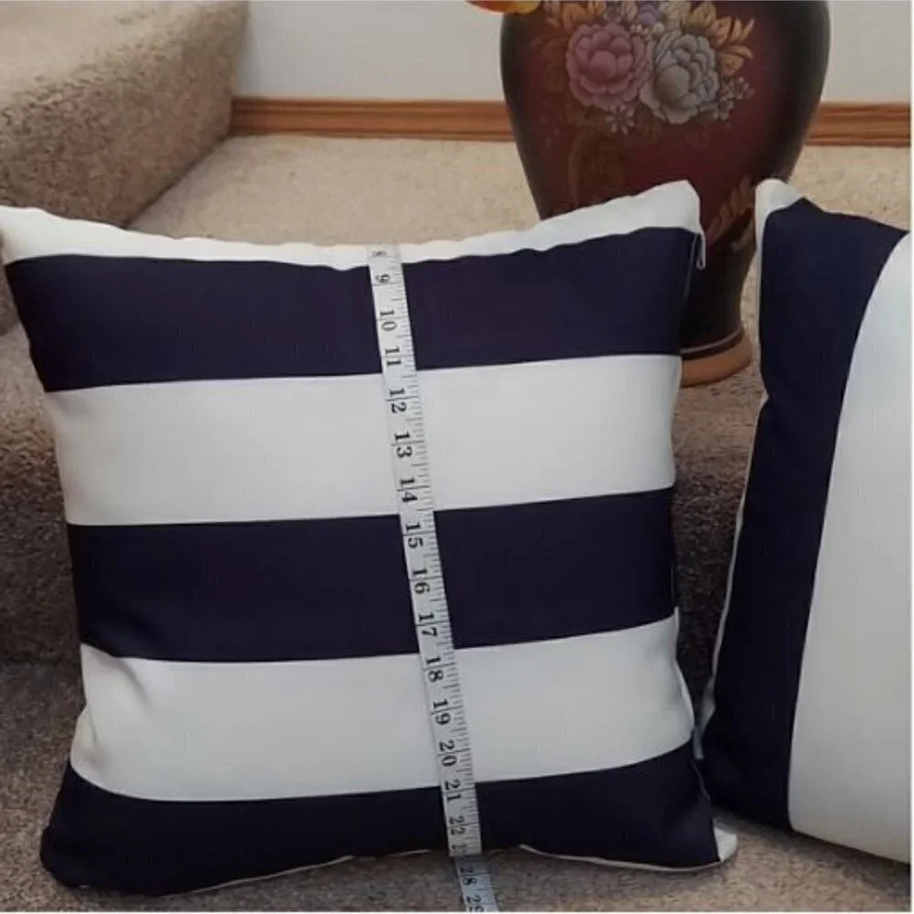 Set of two decorative throw pillows